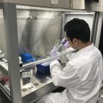 https://www.ksys.me.kyoto-u.ac.jp/wp-content/uploads/2018/11/Bio3.jpg