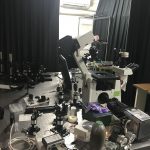 https://www.ksys.me.kyoto-u.ac.jp/wp-content/uploads/2018/11/Nano3.jpg