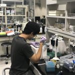 https://www.ksys.me.kyoto-u.ac.jp/wp-content/uploads/2018/11/Nano7.jpg