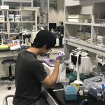 https://www.ksys.me.kyoto-u.ac.jp/wp-content/uploads/2023/09/Nano7-1-scaled.jpg